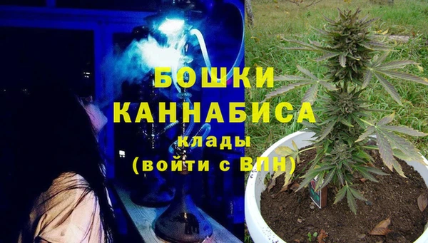 хмурый Абаза