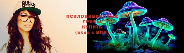 хмурый Абаза