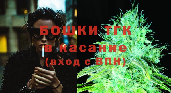 хмурый Абаза