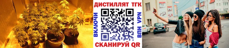 ТГК вейп  купить наркотики сайты  Краснозаводск 